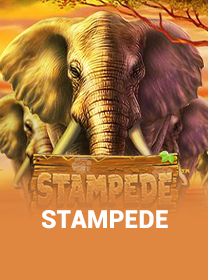 Cara Main Stampede di HP Android dengan Benar